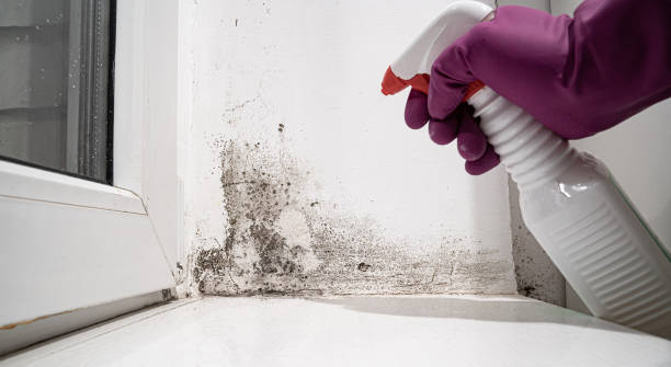 Best Sewage cleanup and water damage restoration  in Donald, OR